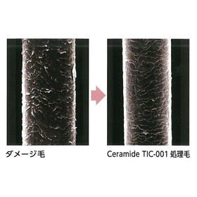 Ceramide NG 'CERAMIDE TIC-001'