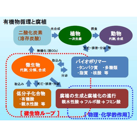 Quantitative analysis of humus (ful...