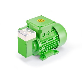 N87Ex Series Explosion-Proof Gas Pump for Waste Treatment